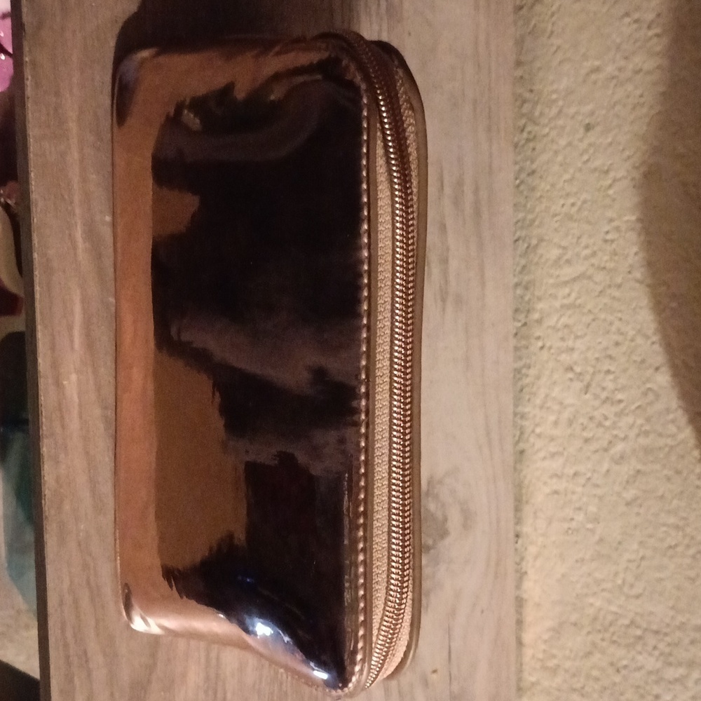 Ted Baker Rose Gold Case View 3